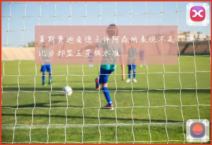 莱斯费迪南德点评阿森纳表现不足比分却显五星级水准
